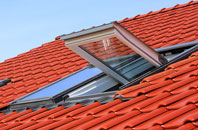 Oddingley roof window
